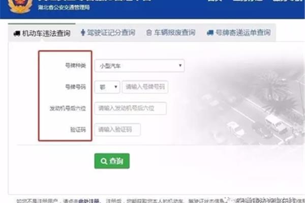 车辆违章查询平台