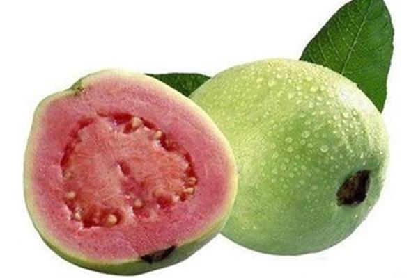 水果莲雾的功效