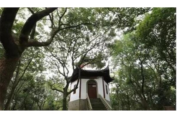 松江天马山