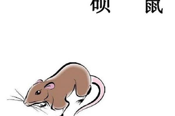 硕鼠硕鼠无食我黍