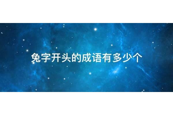 兔开头成语