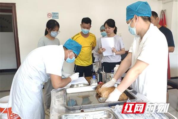 动物疫病防治员