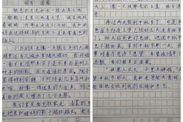 节日作文400字