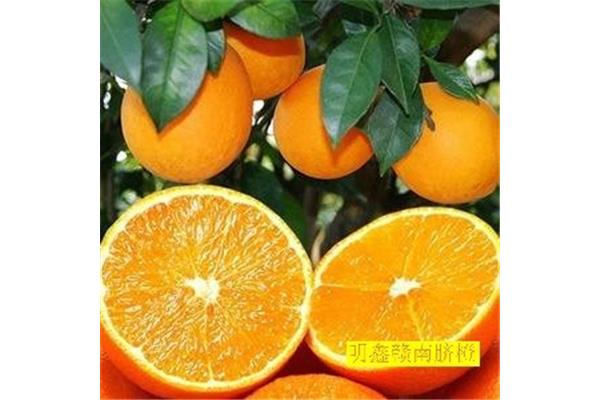 腹泻可以吃橙子吗