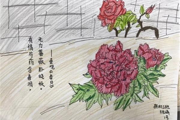 描写玫瑰花的古诗