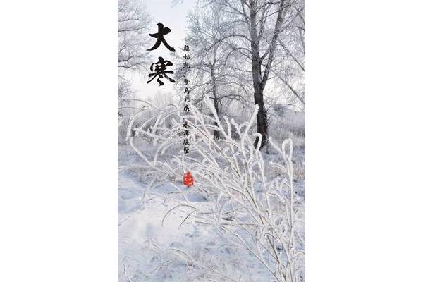 小雪的诗句