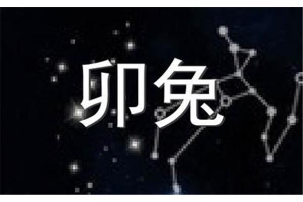 兔开头成语