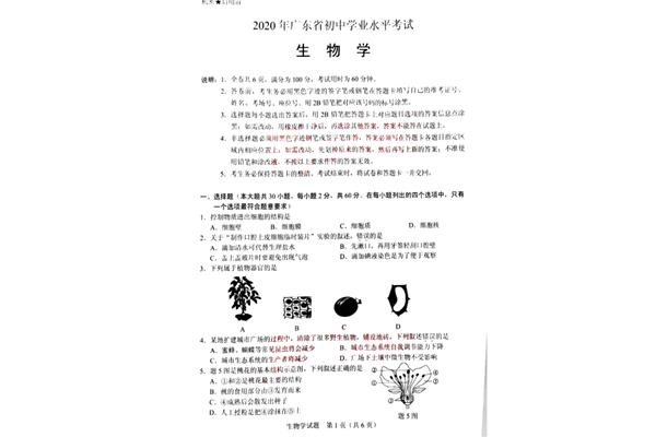 中考真题网