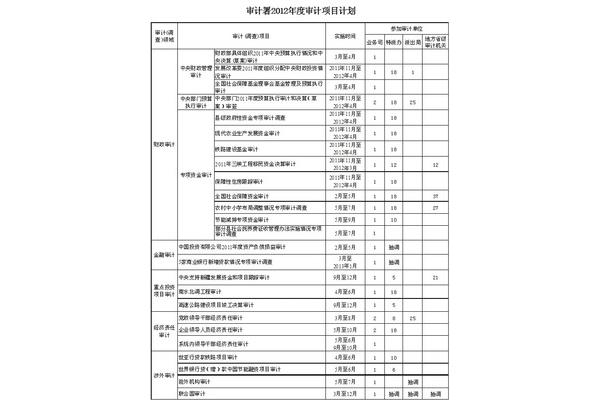 审计项目计划