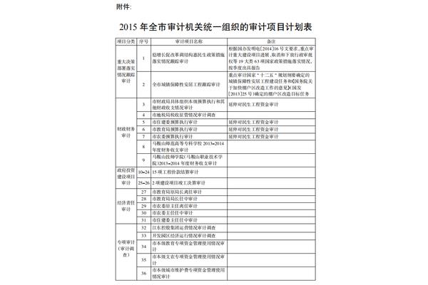 审计项目计划
