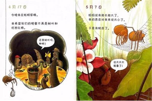 蚊子和蜘蛛的故事
