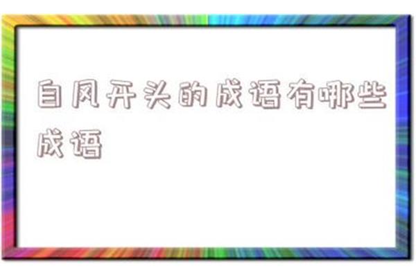 兔开头成语