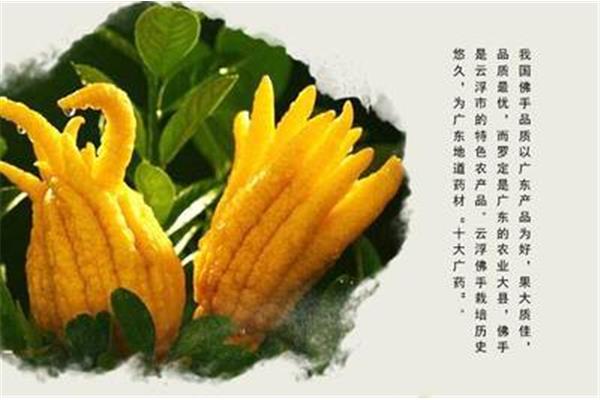 十大养胃中药材