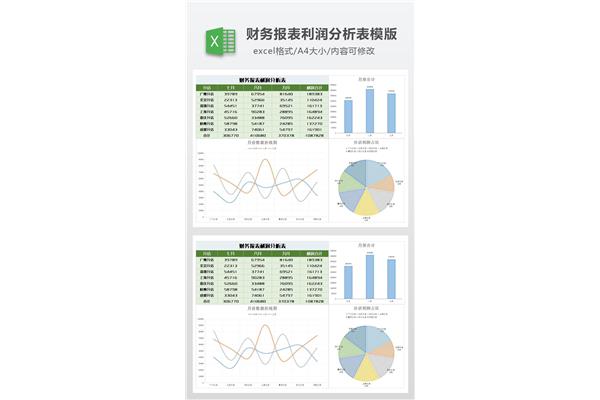 财务分析表