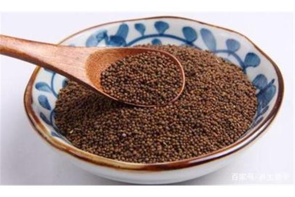 菟丝子泡酒的功效