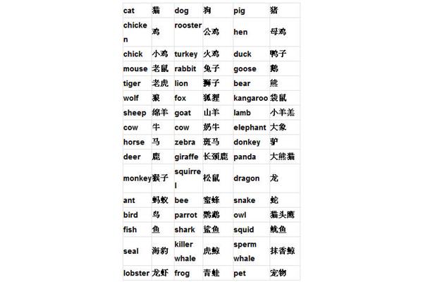 小学英语单词汇总
