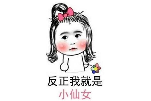 小仙女的真正意思