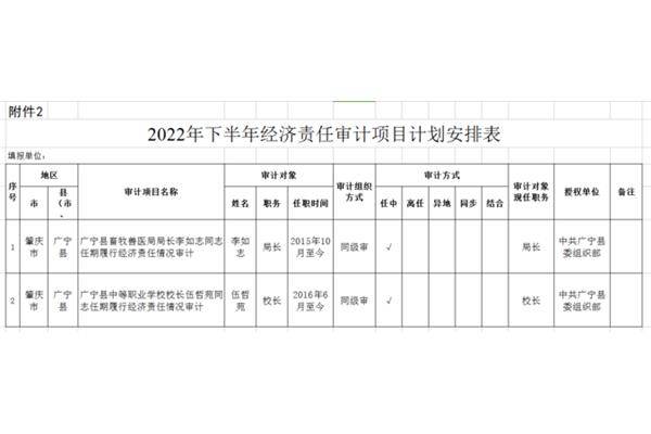 审计项目计划