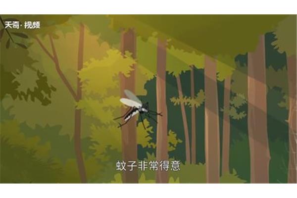 蚊子和蜘蛛的故事