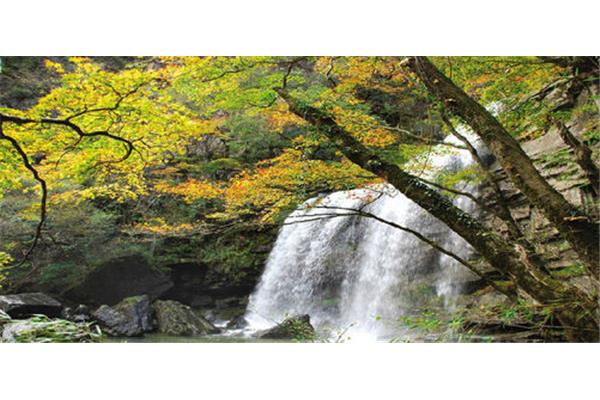 黎平国家森林公园