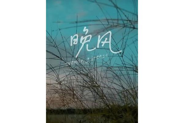 晚风是什么意思