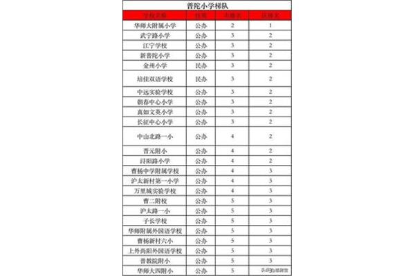 上海小学梯队排名