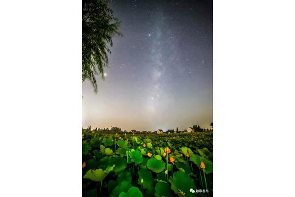 晚风是什么意思