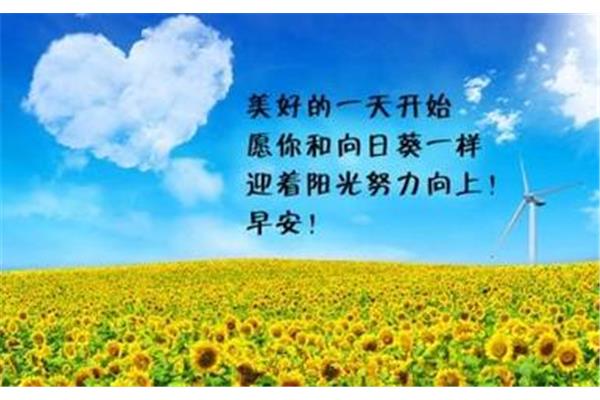 生活需要阳光