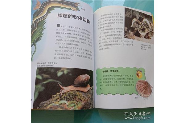 奇妙的动物世界