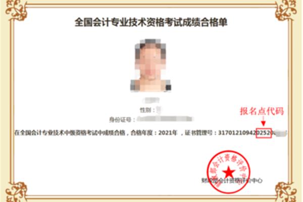 专业代码怎么查