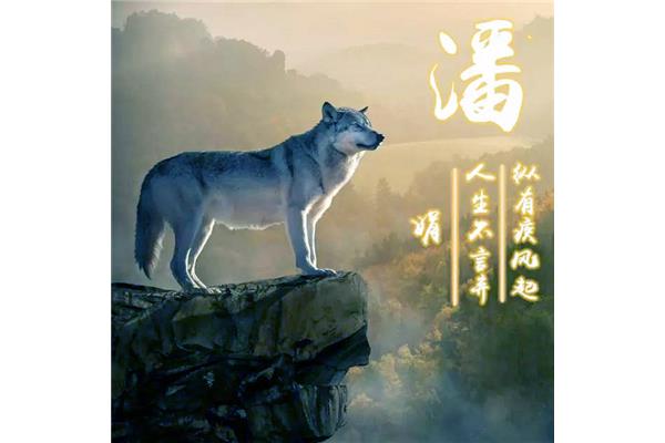 浪的霸气句子