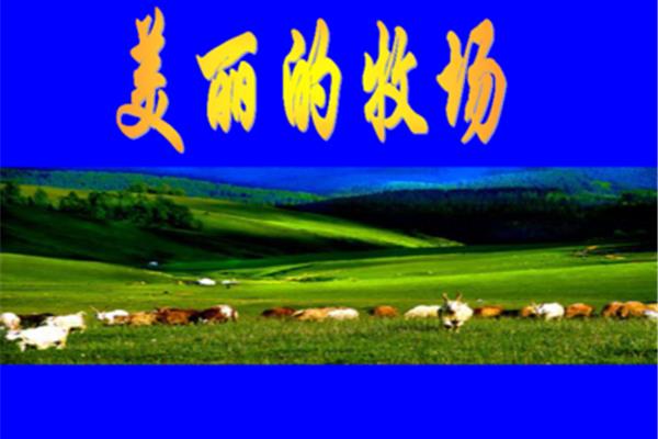 美丽的夏牧场