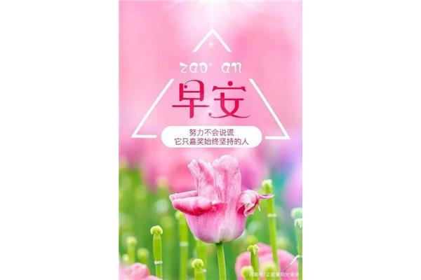 朋友早安问候语