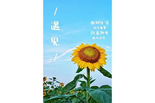 生活需要阳光