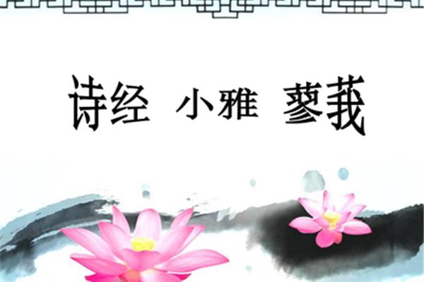 诗经小雅蓼莪