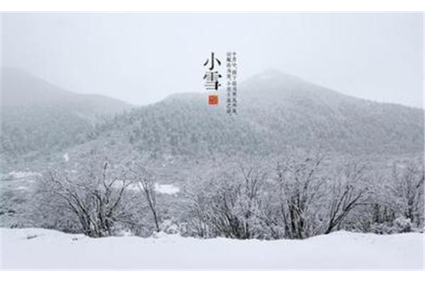 小雪的诗句