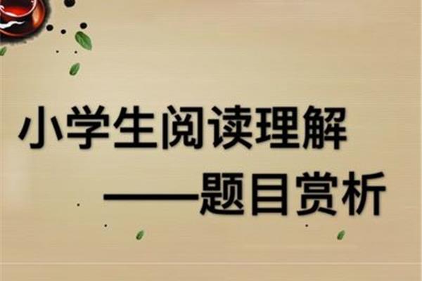 兔开头成语