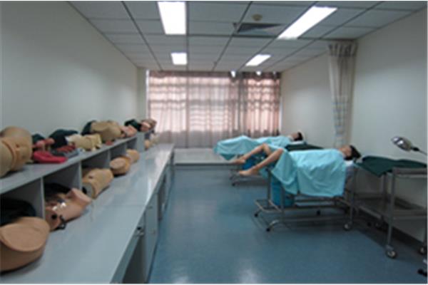腹部查体顺序