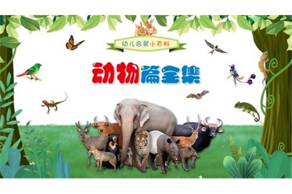 奇妙的动物世界