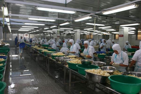 食品生产车间