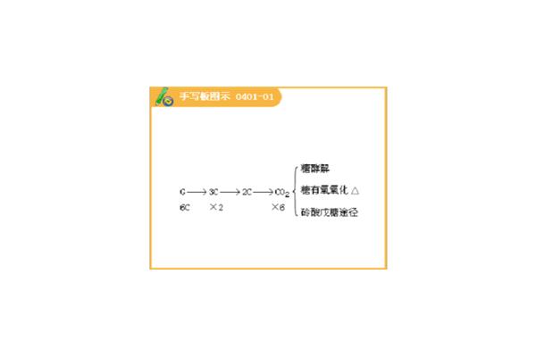 糖酵解的生理意义