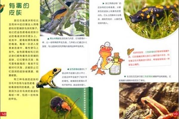 奇妙的动物世界
