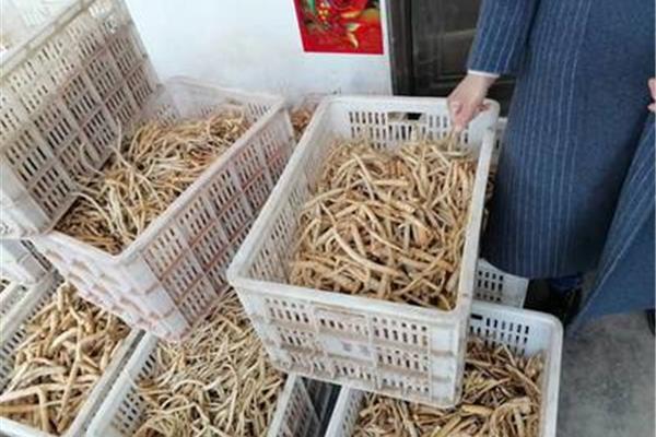 十大养胃中药材