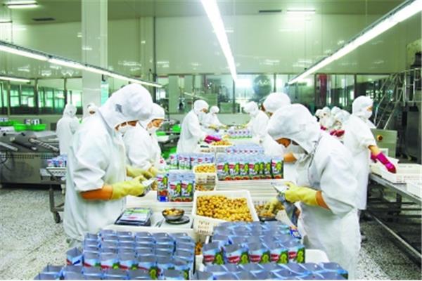 食品生产车间