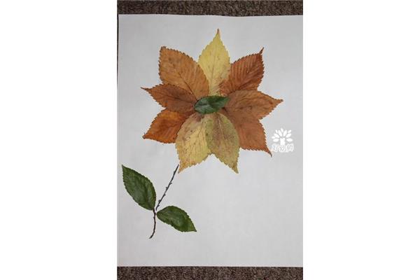 手工树叶贴画