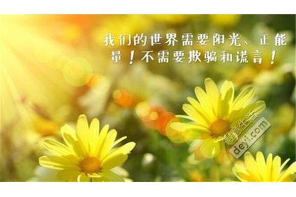 生活需要阳光