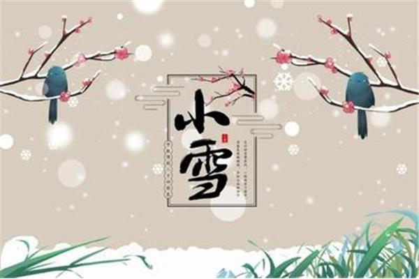 小雪的诗句