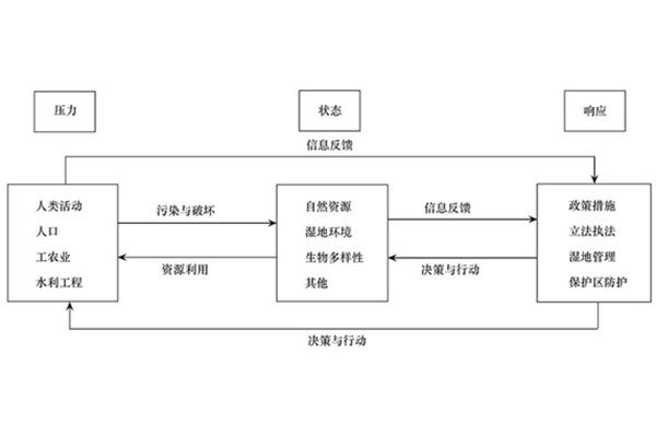 psr模型