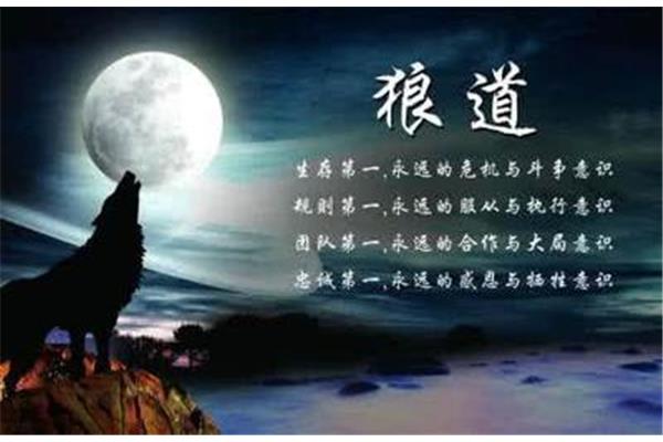 浪的霸气句子
