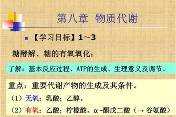 糖酵解的生理意义